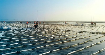 ������걽�������һ��������������