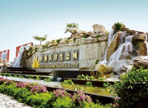 ���������̬�����尶�ߺ�������̬�޸������۱�������