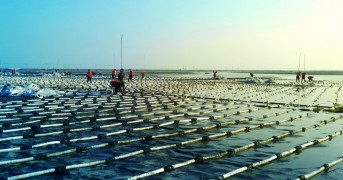 ���������̬���ٺ��³Ǵ������������������Ͷ���·�������Ԥѹ����