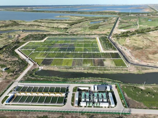 �Ƹ�ʪ����̬��ˮ�����ۺ��������޸����̣��Ƹ�һ��ʪ����̬�޸����̣�ʩ��